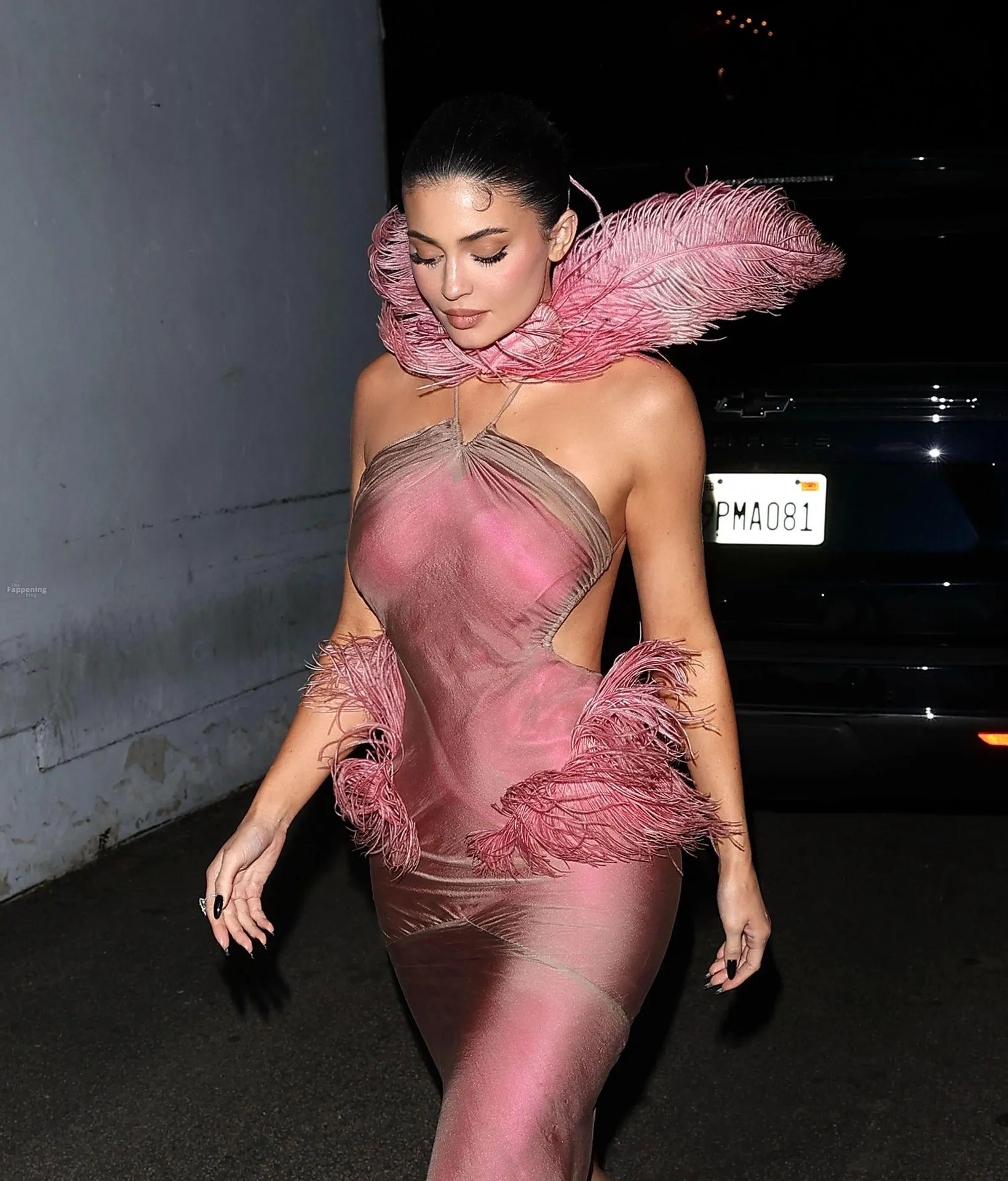 Kylie Jenner Looks Sexy in a Feathered Pink Gown Arriving at the Christmas Party (25 Photos)