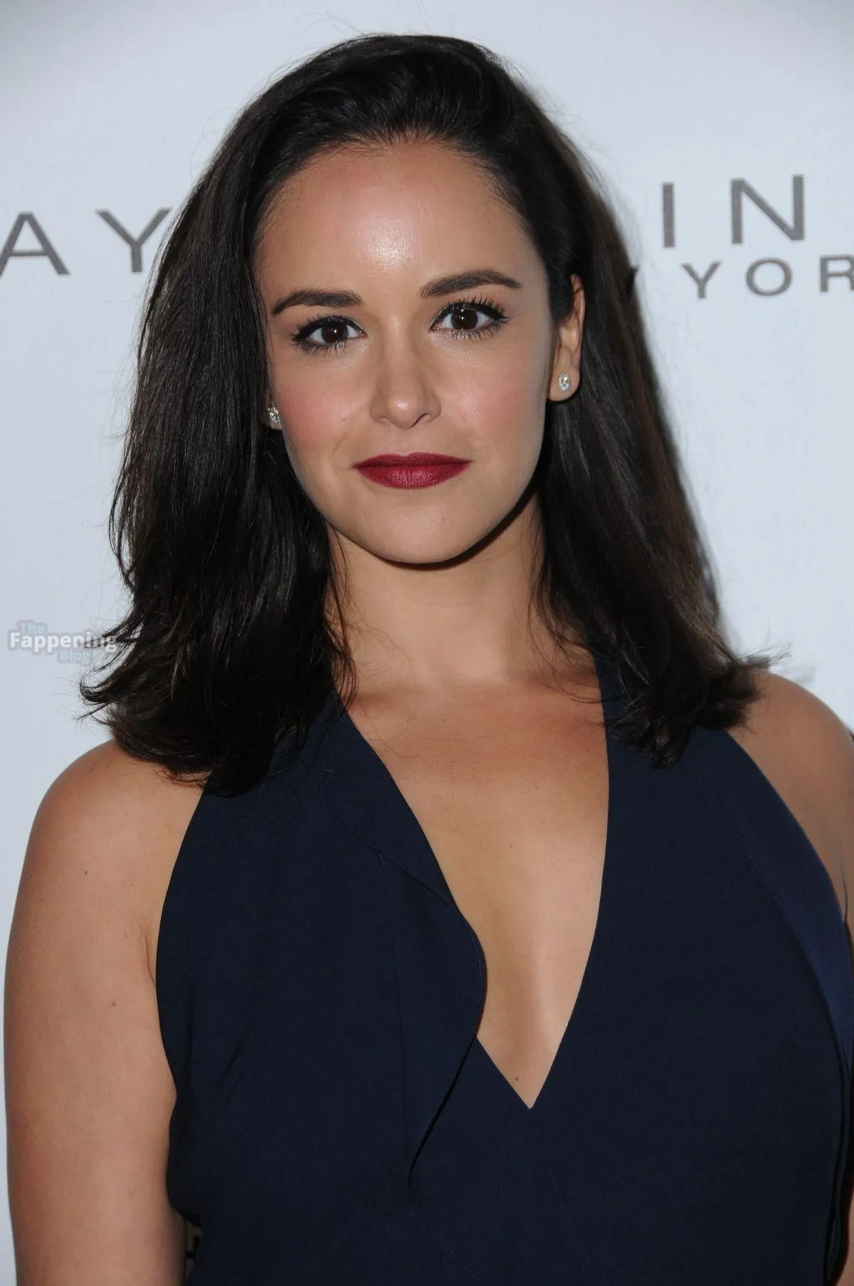 Melissa Fumero Sexy (5 Photos)