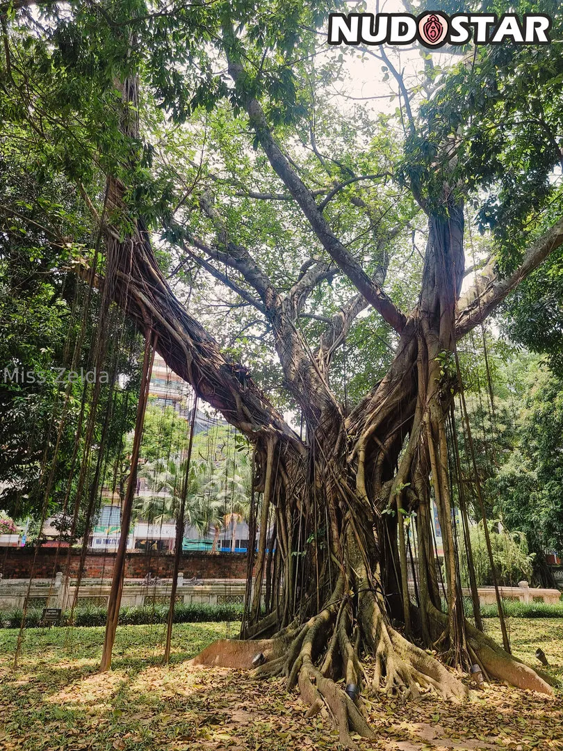 Miss Zelda Leaks (17 Photos)