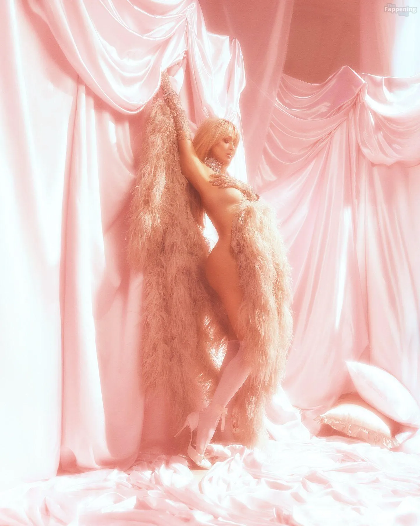 Paris Hilton Poses Nude After Turning 45 (8 Photos)