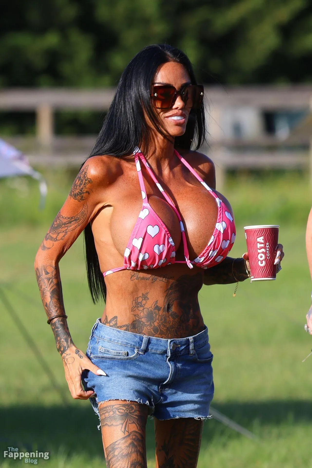 Katie Price Shows Off Her Assets in a Bikini Top (83 Photos)