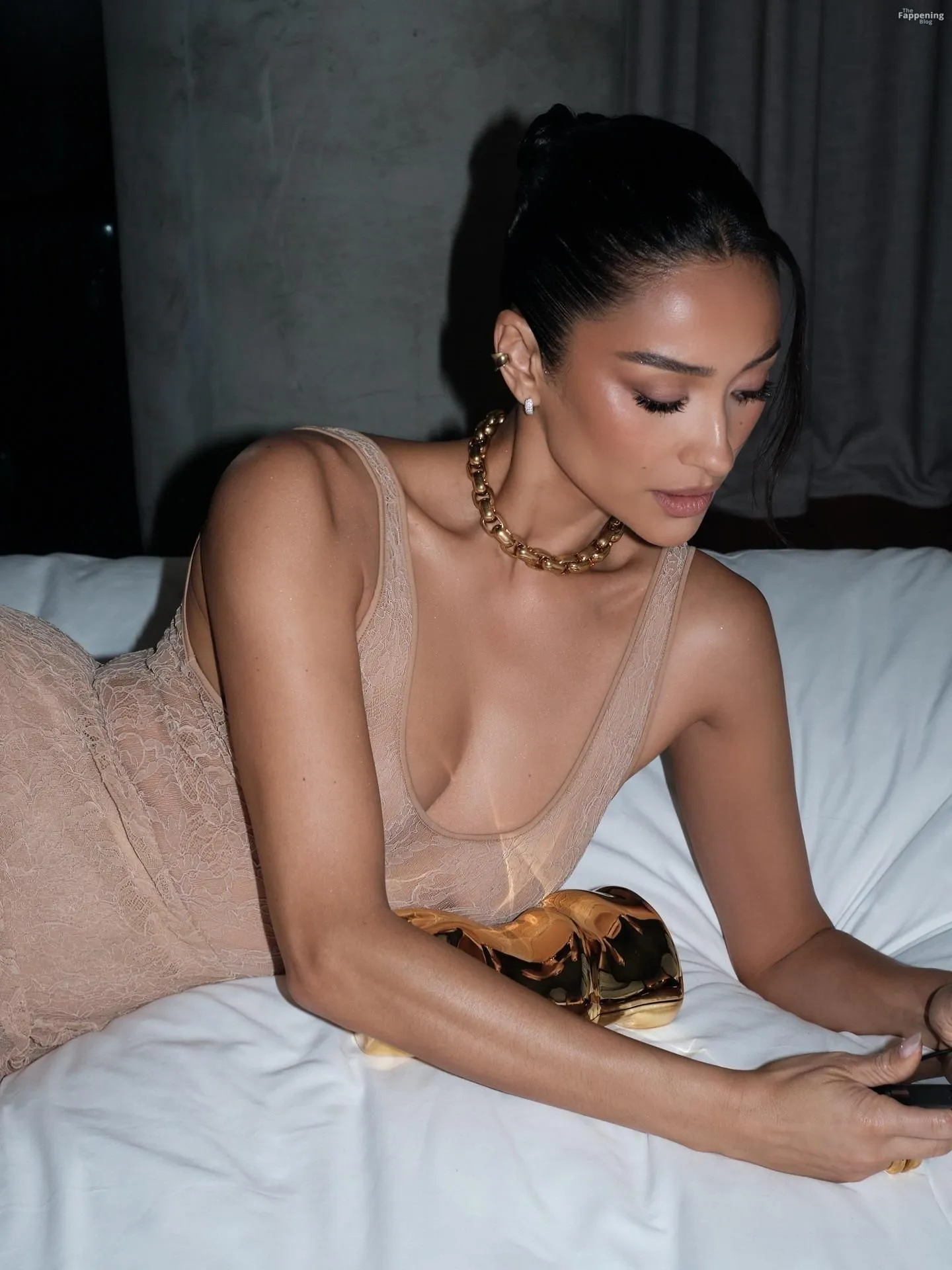 Shay Mitchell Hot (19 Photos)
