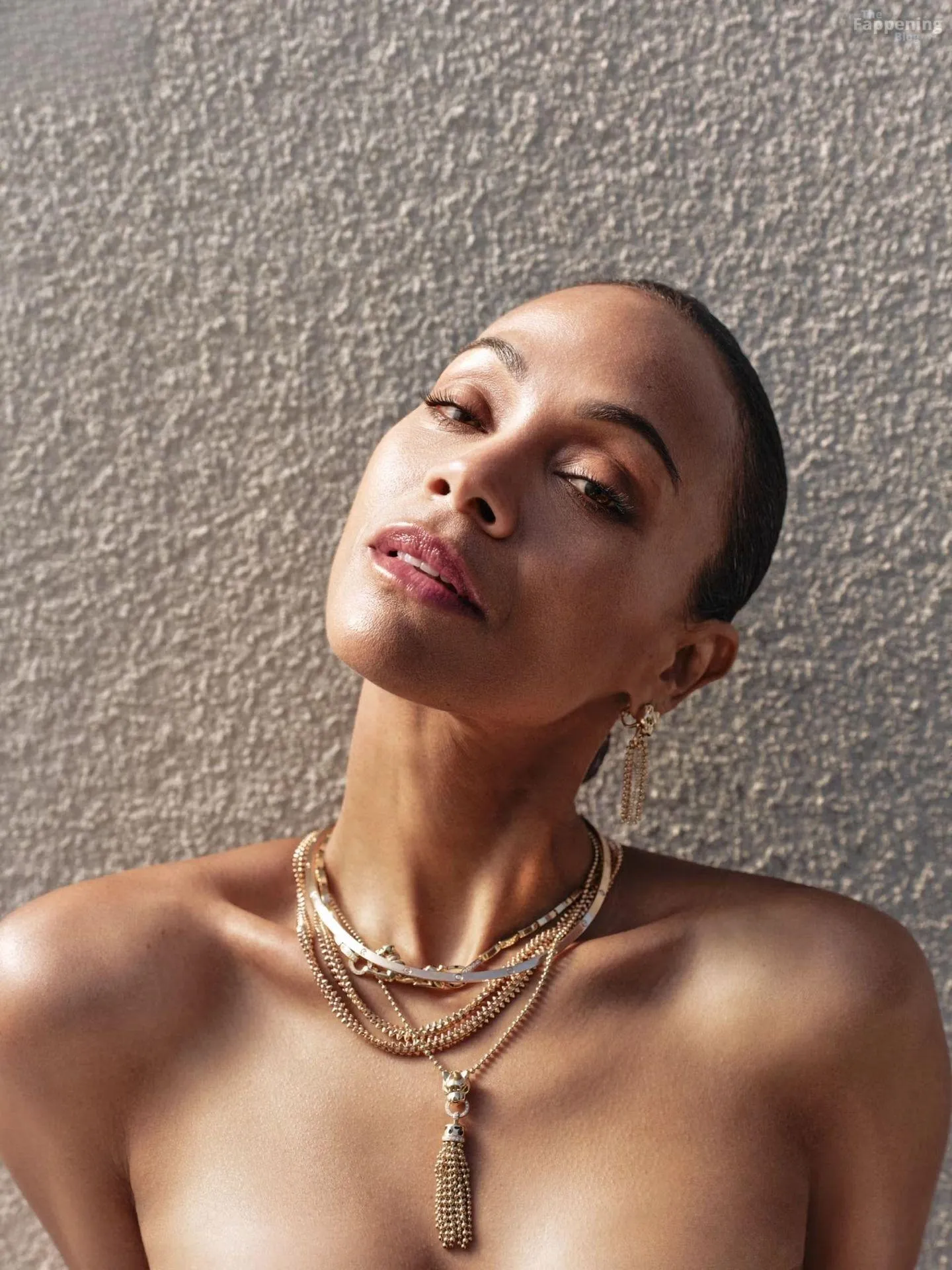 Zoe Saldana Sexy & Topless Collection (25 Photos)